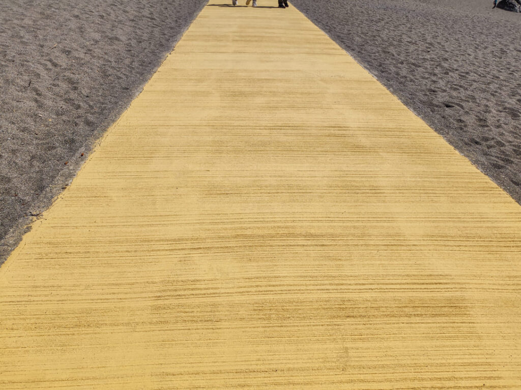桂浜の遊歩道