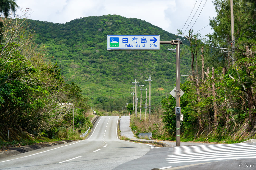 西表島の道路