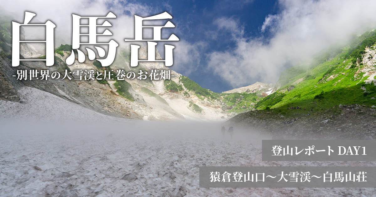 【登山レポ】白馬岳1泊2日 猿倉→栂池ルートを紹介！大雪渓とお花畑【DAY1】